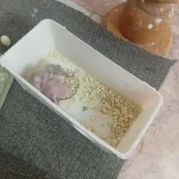 مرغ عشق پرنده