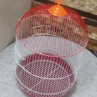 قفس  پرنده