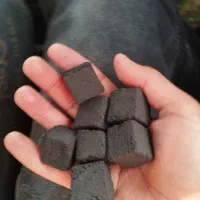 ذغال کربن پسته