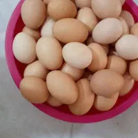 تخم مرغ محلی