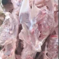 بیخس مرغ