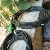 تعدادی کابل نو