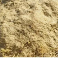 کاه جو بارگیری شده