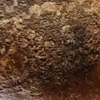 شهابسنگ مریخی شرگوتیت اصل