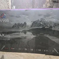 کارتن ایوولی