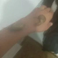 حلزون 5 سانتی