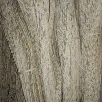 سوبه