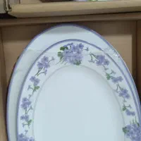سرویس ۲۸ پارچه چینی زرین ایران