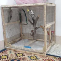 فروش یک جفت عروس هلندی