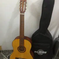 گیتار رویال