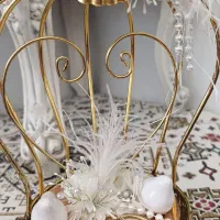 جا حلقه ای