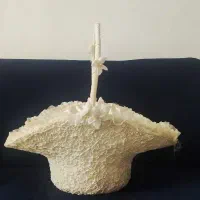 سبد بله برون