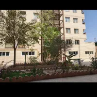 نیازمند نظافتچی