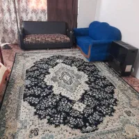 همخانه
