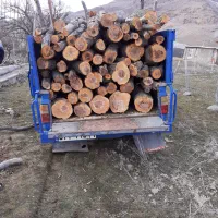 کار کشاورزی.وهرس.انواع.درخت