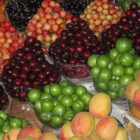 کار برای خانم