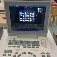 دستگاه سونوگرافی دامپزشکی