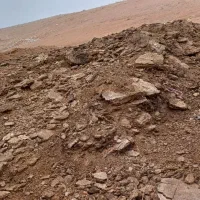 کودبار  گوسفندی و گاوی و مرغی