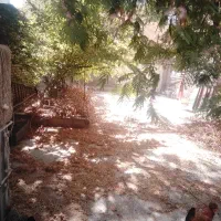 به-یک-هم-خانه-متعهد-خ-نیازمند-هستم