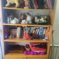 کتابخانه جادار محکم چوبی و کاملا سالم