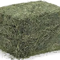 فروش یونجه