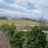 زمین