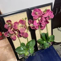 تابلو دیواری در حد نو کادویی