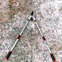 قیجی باغبانی  تایوانی
