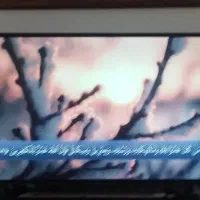 تلویزیون ال جی