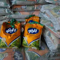 برنج دانه بلند البرز عمده