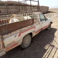 گوساله