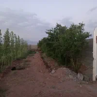 باغ حجت اباد جوپار،نزدیک کرمان،برای تفریح ودرآمدزا