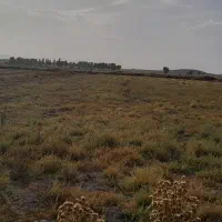 زمین-فروشی-سند-رسمی