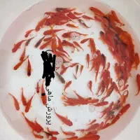 ماهی قرمز  و تنگ