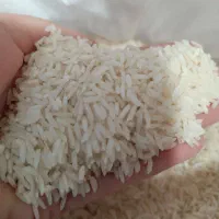 برنج هاشمی اعلا