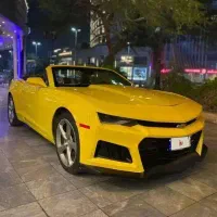 فروش‌کامارو کروک نیو/قابل گذر