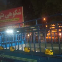 اتاق باری نیسان