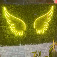 نئون بال فرشته گرین وال