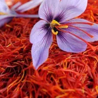 زعفران سوپر نگین بهترین قیمت