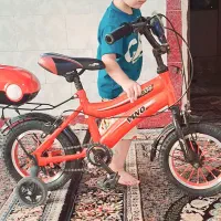 دوچرخه گمشده