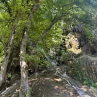 طبیعتگردی