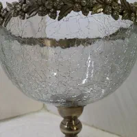 میوه خوری
