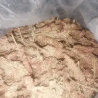 سماق تازه و ترش اصل اصل