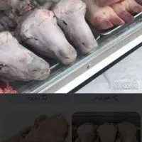 پاک کردن کله پاچه وزینگ بصورت بهداشتی وتمیز