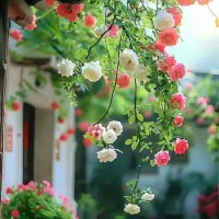 ادمین آنلاین برای پیج و کانال شما