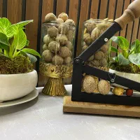 گردو شکن|خردکن، آسیاب، غذاساز|اصفهان, قهجاورستان|دیوار