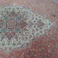 فرش پاتریس ۶ متری مسی