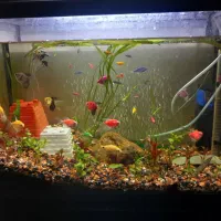 یک عدد اکواریوم بزرگ