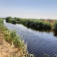 یک-هکتار-زمین-کشاورزی