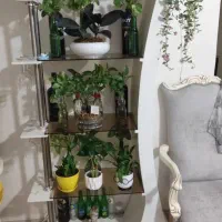 بوفه و ویترین / مینی بار